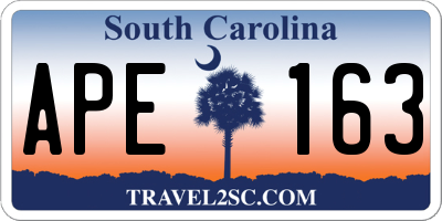 SC license plate APE163