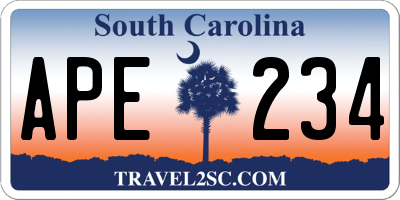 SC license plate APE234
