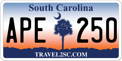 SC license plate APE250