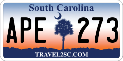 SC license plate APE273