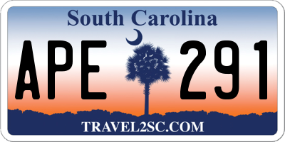 SC license plate APE291