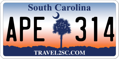 SC license plate APE314