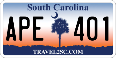 SC license plate APE401