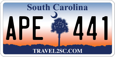SC license plate APE441