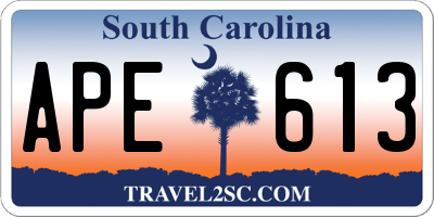 SC license plate APE613