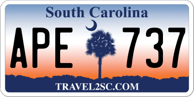 SC license plate APE737