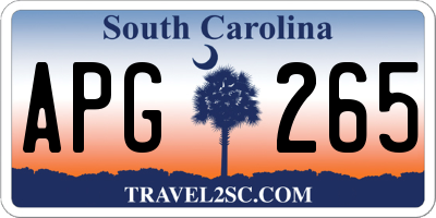 SC license plate APG265