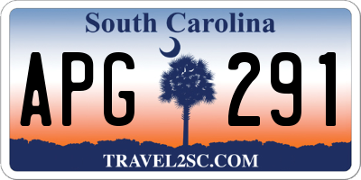 SC license plate APG291