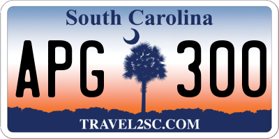 SC license plate APG300