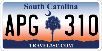SC license plate APG310