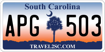 SC license plate APG503