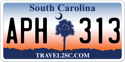 SC license plate APH313