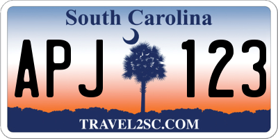 SC license plate APJ123