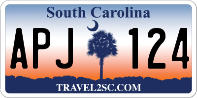 SC license plate APJ124