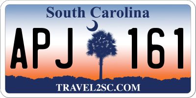 SC license plate APJ161