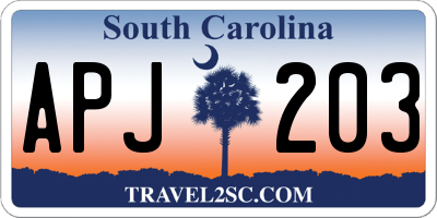 SC license plate APJ203