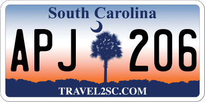 SC license plate APJ206