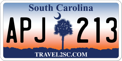 SC license plate APJ213