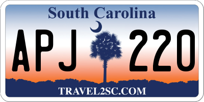 SC license plate APJ220