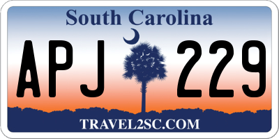 SC license plate APJ229