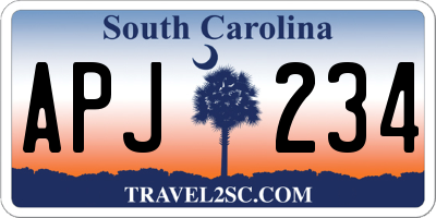 SC license plate APJ234