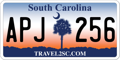 SC license plate APJ256