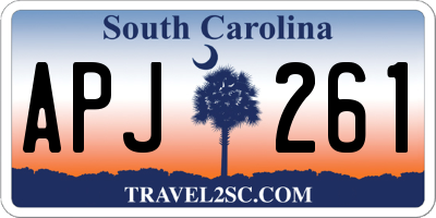 SC license plate APJ261