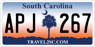 SC license plate APJ267