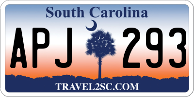 SC license plate APJ293