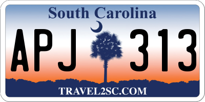 SC license plate APJ313
