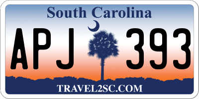 SC license plate APJ393