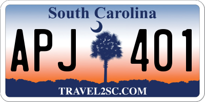 SC license plate APJ401