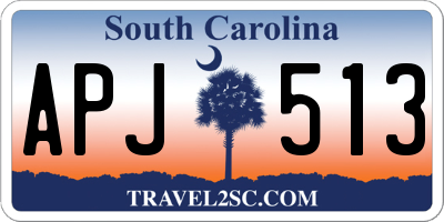 SC license plate APJ513