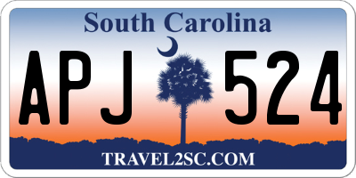 SC license plate APJ524