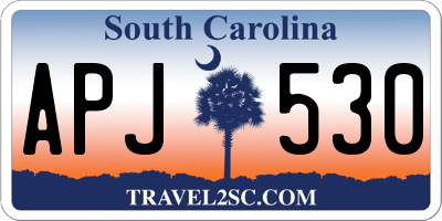 SC license plate APJ530