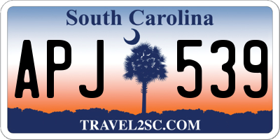 SC license plate APJ539