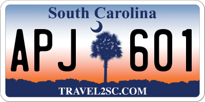 SC license plate APJ601