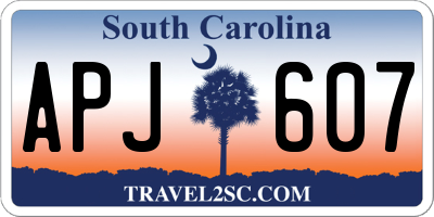 SC license plate APJ607