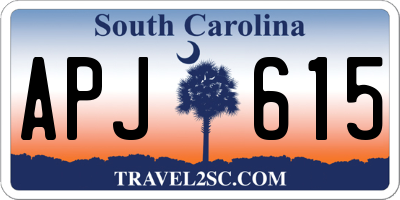 SC license plate APJ615