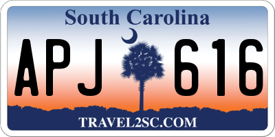 SC license plate APJ616