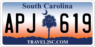 SC license plate APJ619
