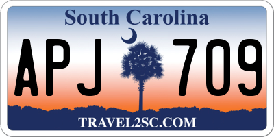 SC license plate APJ709