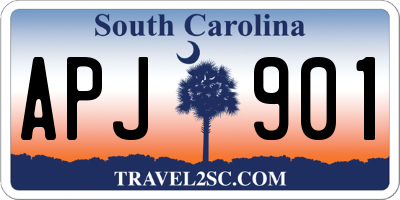 SC license plate APJ901