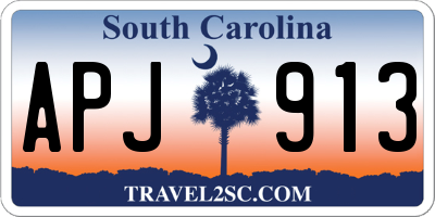 SC license plate APJ913