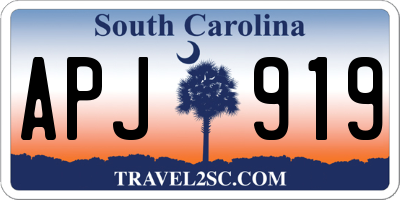 SC license plate APJ919