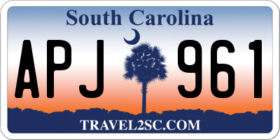 SC license plate APJ961