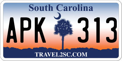 SC license plate APK313