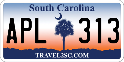 SC license plate APL313