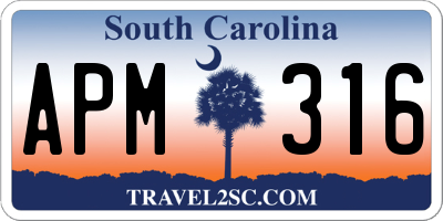 SC license plate APM316