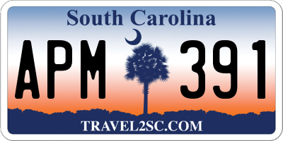 SC license plate APM391
